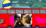 使用此樣板編輯U卡